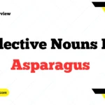 Collective Nouns For Asparagus