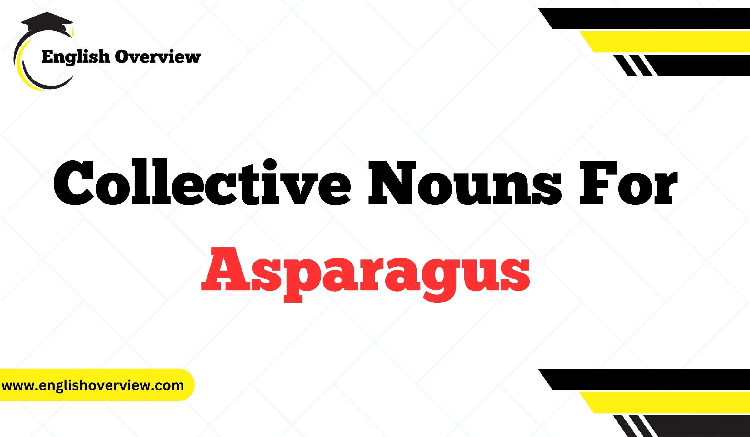Collective Nouns For Asparagus