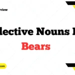 Collective Nouns For Bears