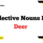 Collective Nouns for Deer
