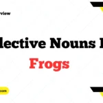 Collective Nouns of Frogs