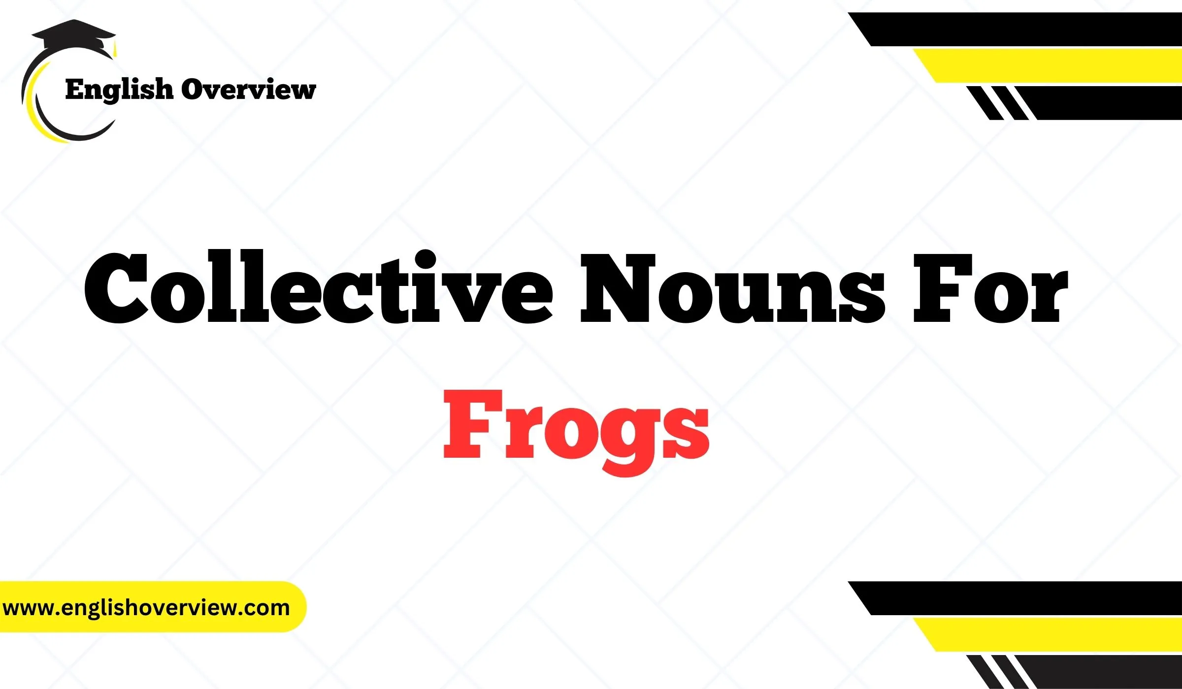Collective Nouns of Frogs
