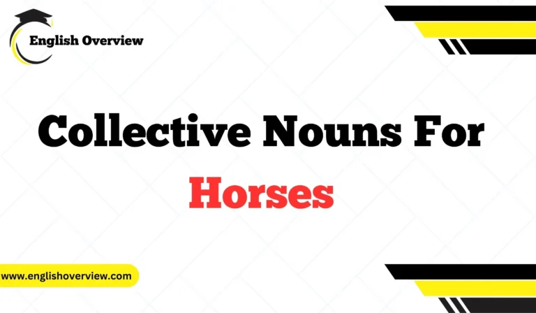 Collective Nouns For Horses