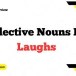 Collective Nouns For Laughs