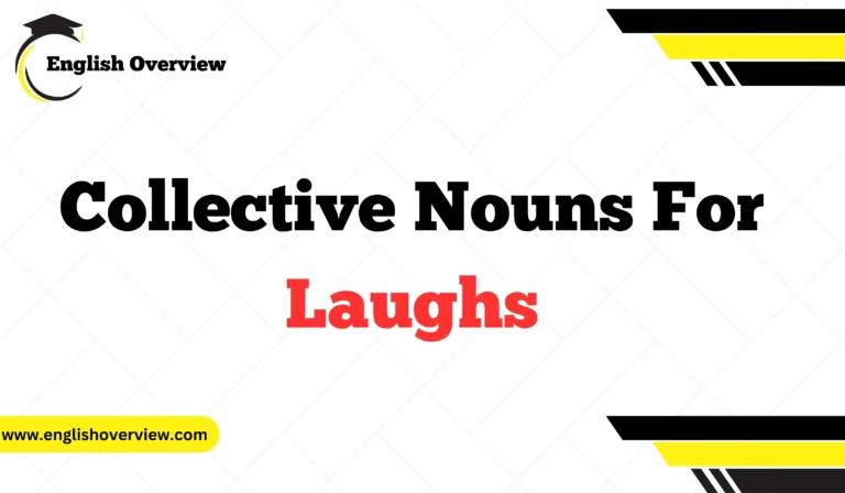 Collective Nouns For Laughs