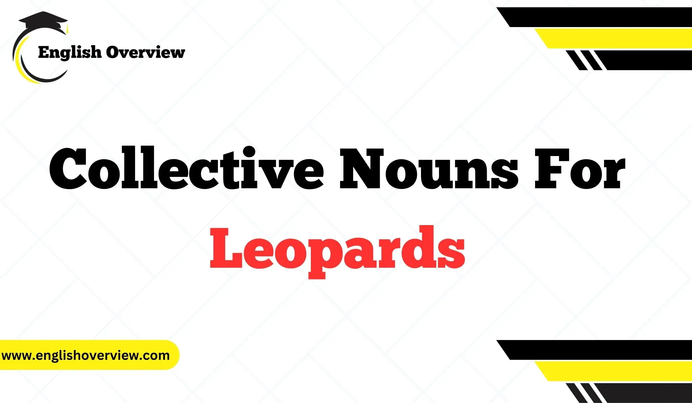 Collective Nouns for Leopards