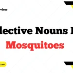 Collective Nouns For Mosquitoes