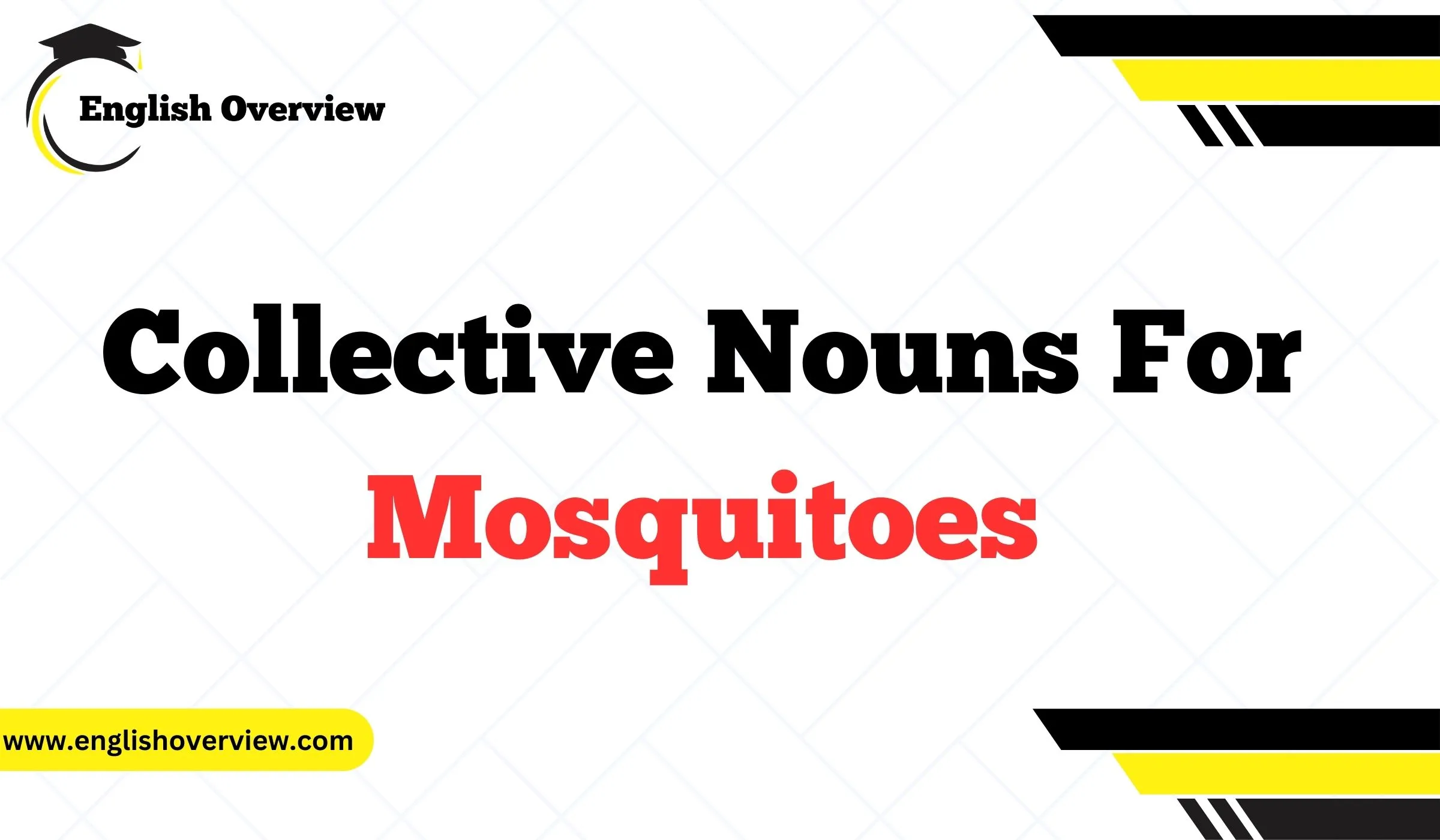 Collective Nouns For Mosquitoes