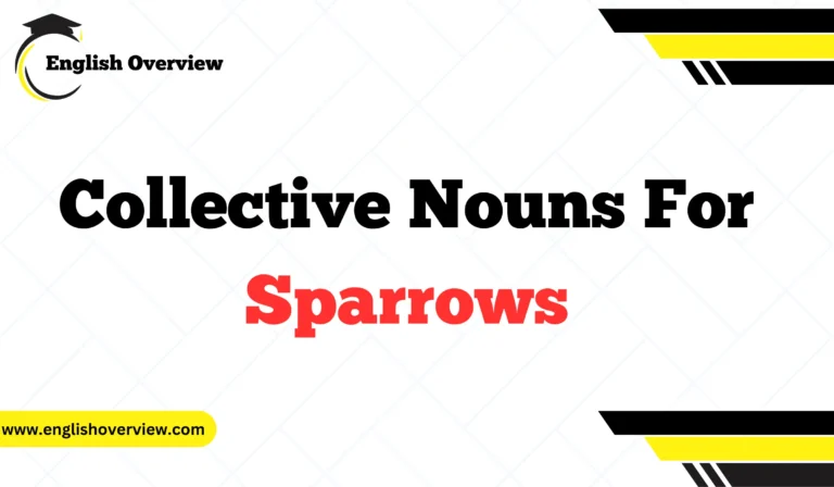 Collective Nouns For Sparrows