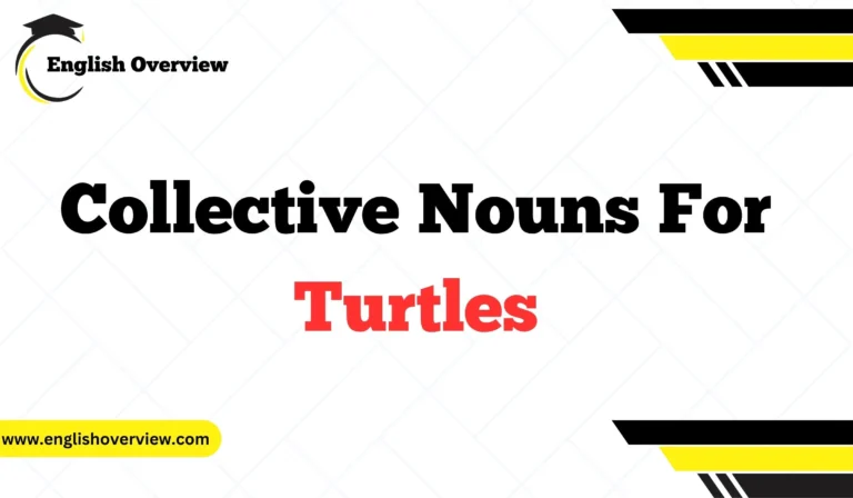 Collective Nouns For Turtles