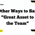 Other Ways to Say “Great Asset to the Team”