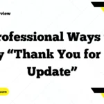Professional Ways to Say “Thank You for the Update”