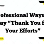 Professional Ways to Say “Thank You for Your Efforts”