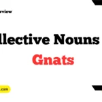 Collective Nouns For Gnats
