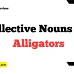 Collective Nouns For Alligators