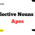 Collective Nouns For Apes