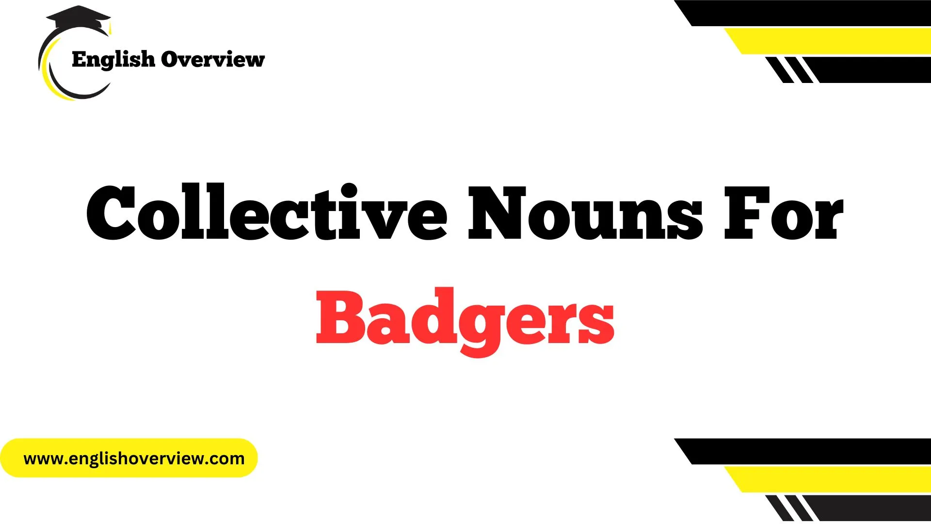 Collective Nouns For Badgers