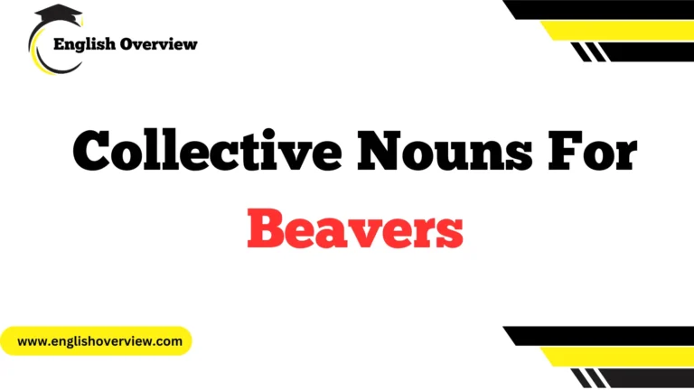 What is the Collective Nouns for Beavers