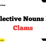 Collective Nouns For Clams