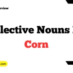 Collective Nouns for Corn