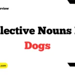 Collective Nouns For Dogs