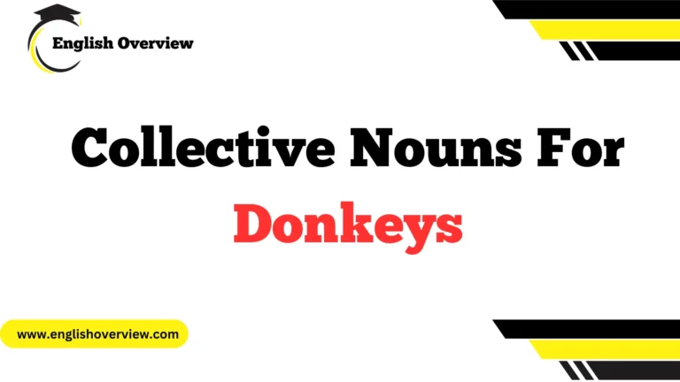 Collective Nouns For Donkeys