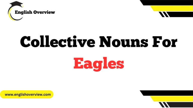 Collective Nouns For Eagles