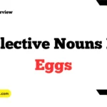 Collective Nouns for Eggs