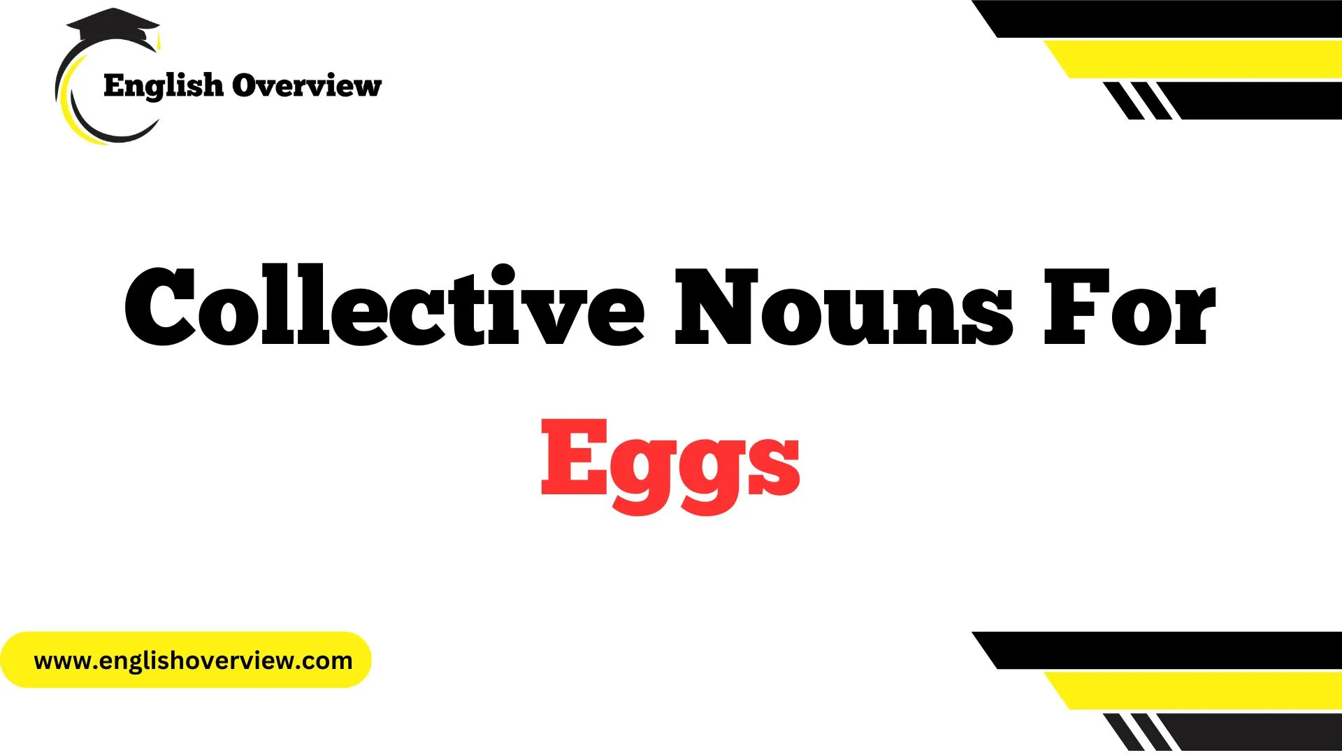 Collective Nouns for Eggs