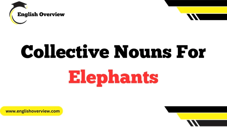 Collective Nouns For Elephants