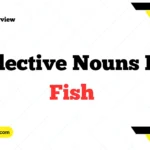 Collective Nouns For Fish