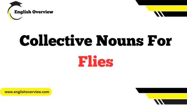 Collective Nouns For Flies