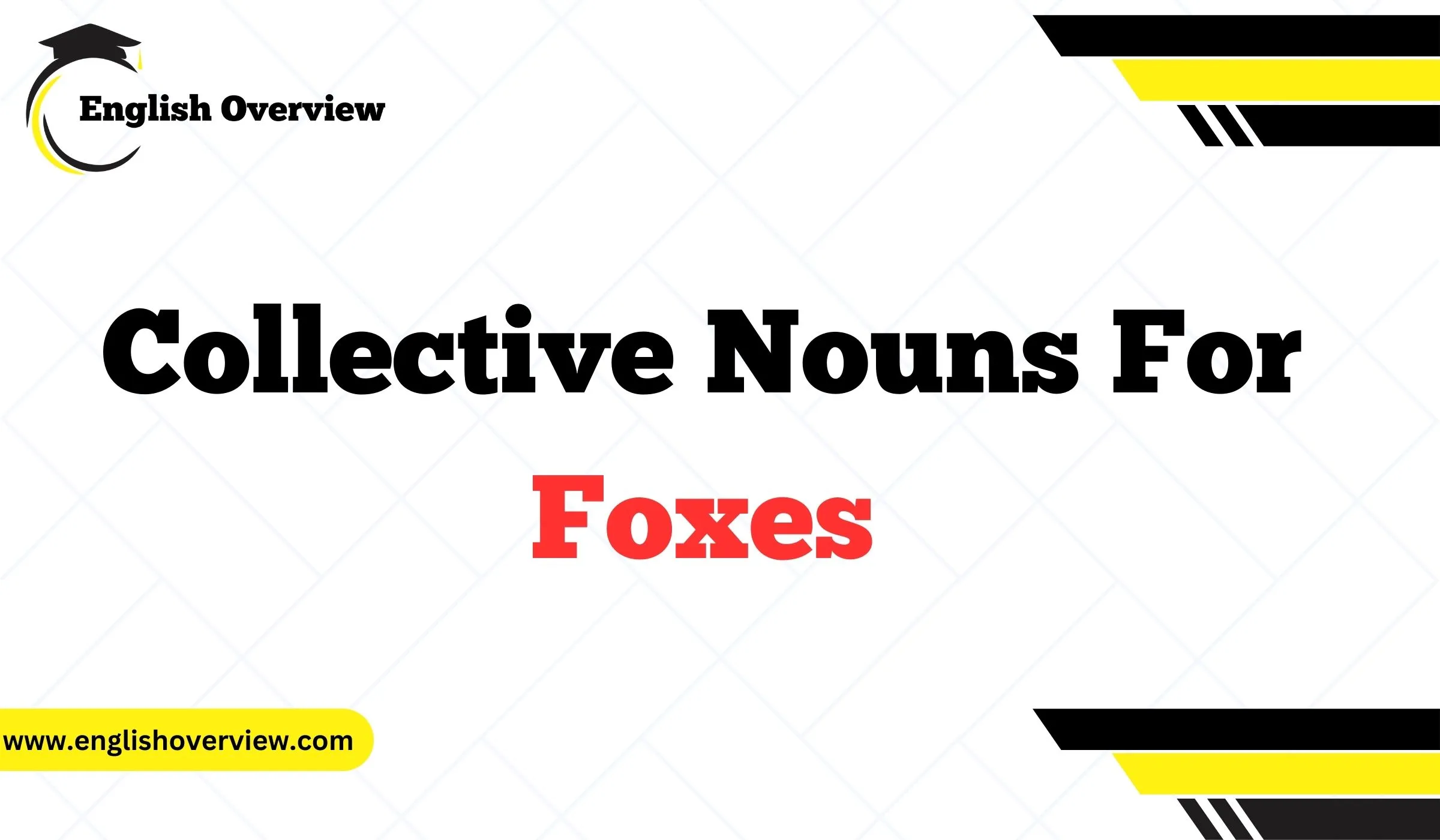 Collective Nouns For Foxes