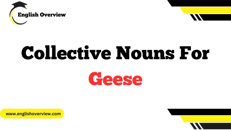 Collective Nouns For Geese