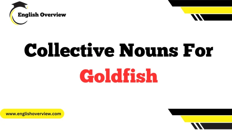 Collective Nouns For Goldfish