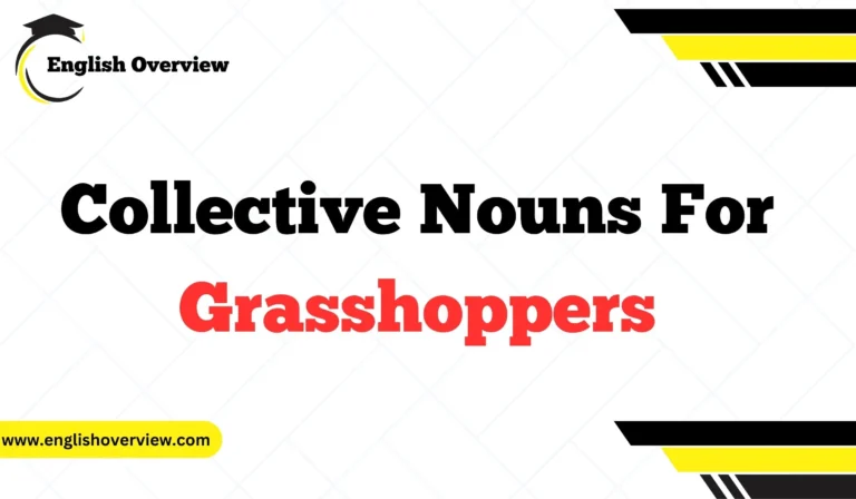 Collective Nouns For Grasshoppers