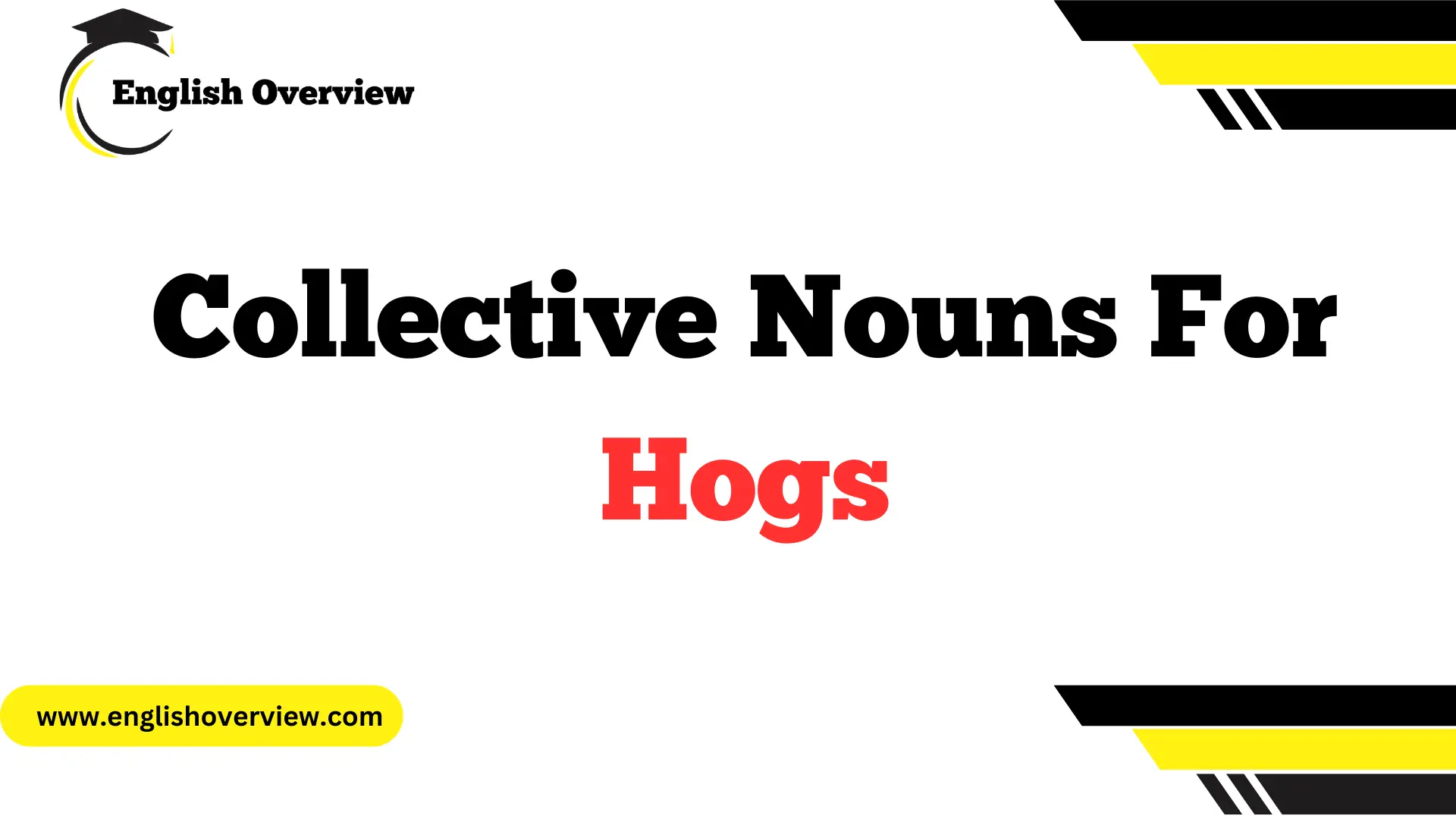 Collective Nouns For Hogs