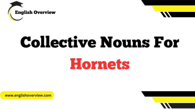 Collective Nouns For Hornets