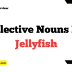 Collective Nouns For Jellyfish