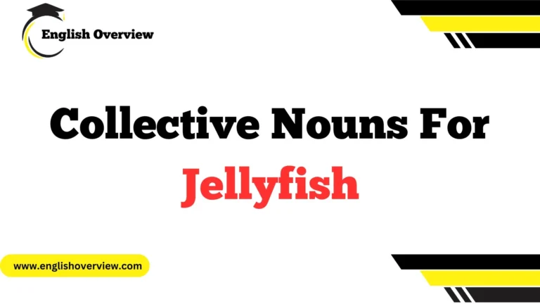 Collective Nouns For Jellyfish