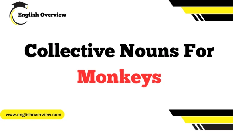 Collective Nouns For Monkeys