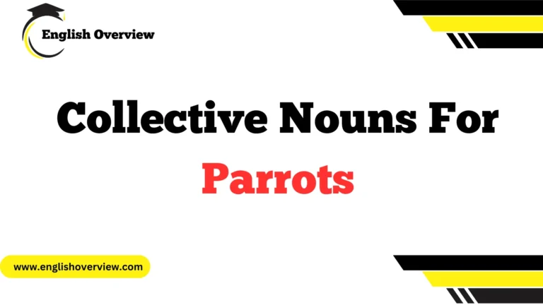 Collective Nouns For Parrots