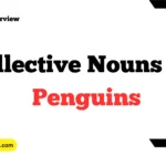 What is the Collective Nouns for Hounds
