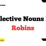 Collective Nouns For Robins