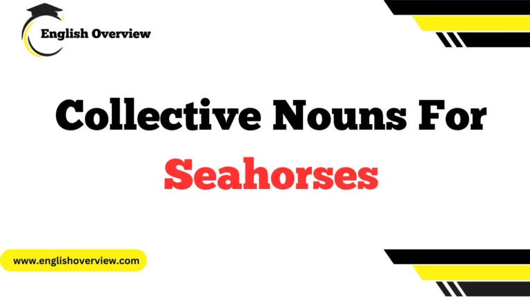 Collective Nouns For Seahorses
