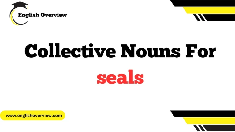 Collective Nouns For seals