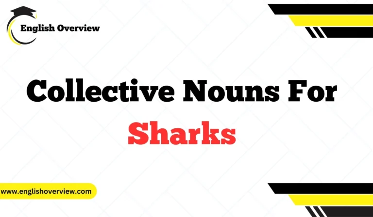 Collective Nouns For Sharks
