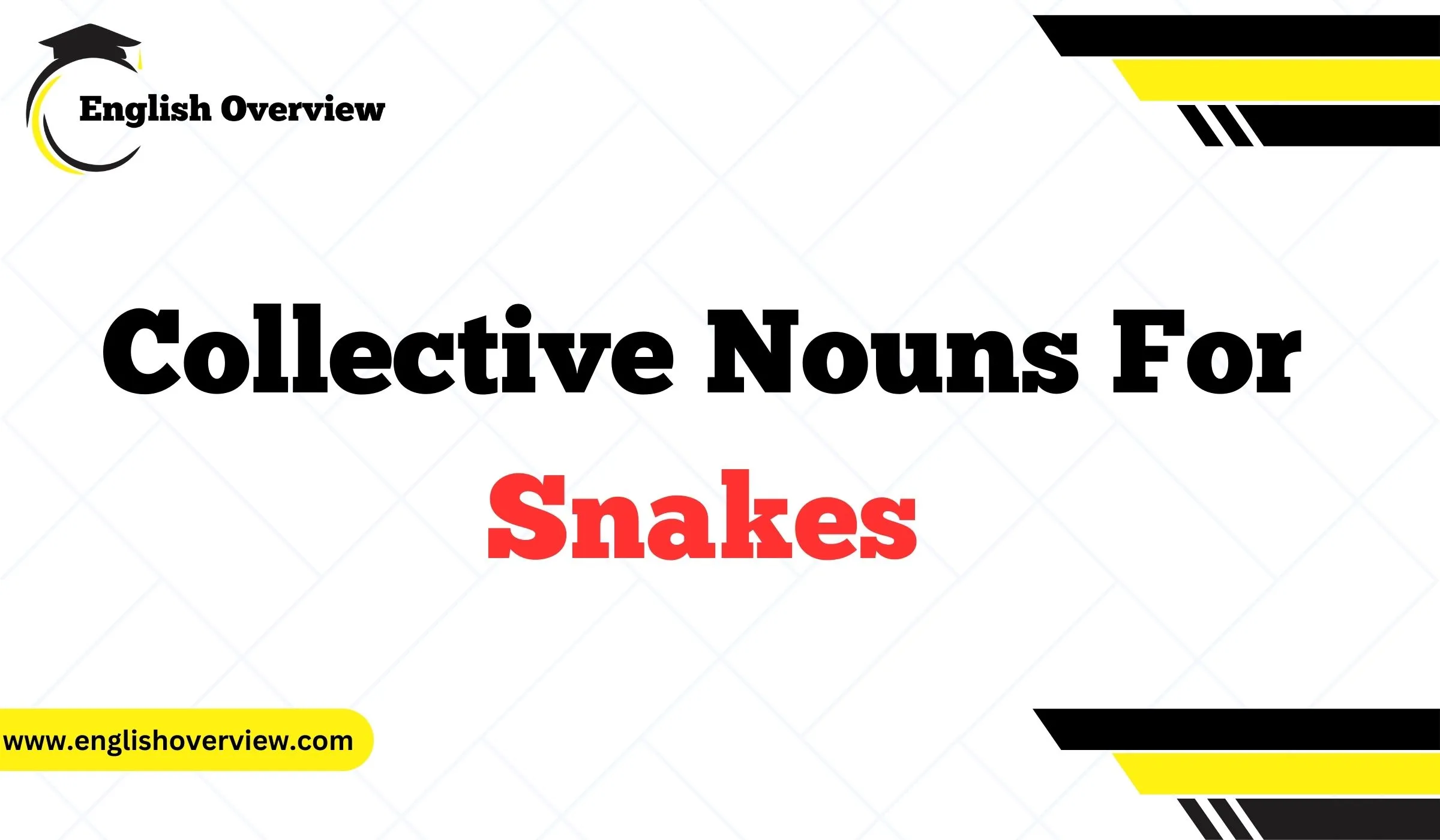 Collective Nouns For Snakes
