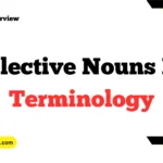 Collective Nouns For Terminology