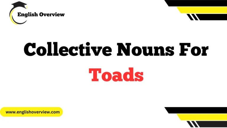 Collective Nouns For Toads
